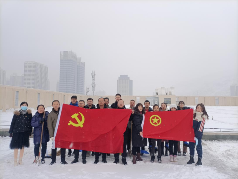 黨團(tuán)齊發(fā)力 除雪在一線&mdash;&mdash;現(xiàn)代物流公司黨支部開展除雪保安全活動(dòng)