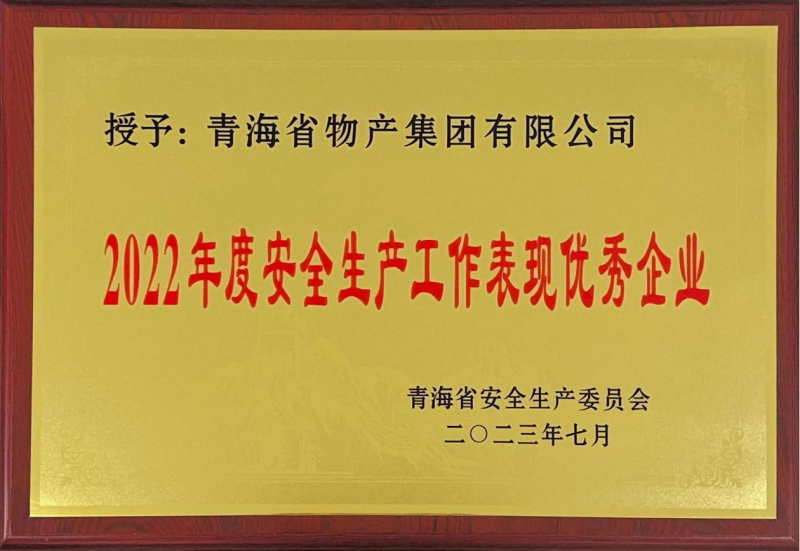 喜   報(bào)&mdash;&mdash;集團(tuán)榮獲青海省2022年度安全生產(chǎn)工作表現(xiàn)優(yōu)秀企業(yè)榮譽(yù)稱號(hào)