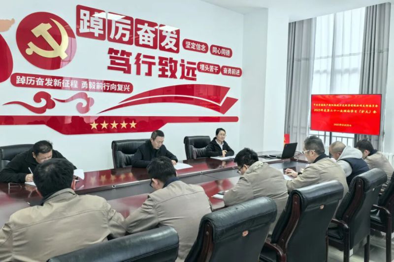 集團黨委委員、紀委書記潘彬列席旁聽朝開公司黨支部理論學習會并講授專題黨課