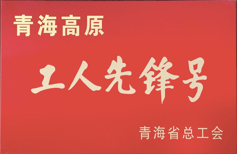 物產(chǎn)工投公司電解二車(chē)間被命名青海高原&ldquo;工人先鋒號(hào)&rdquo;