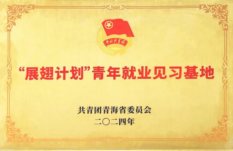 物產(chǎn)工投公司被團(tuán)省委授予&ldquo;展翅計(jì)劃&rdquo;首批青年就業(yè)見(jiàn)習(xí)基地